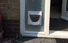 Kattenluik dubbel glas